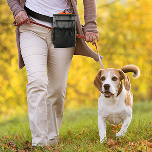 Multi-Functional Pet Treat Training Bag with Bowl Set