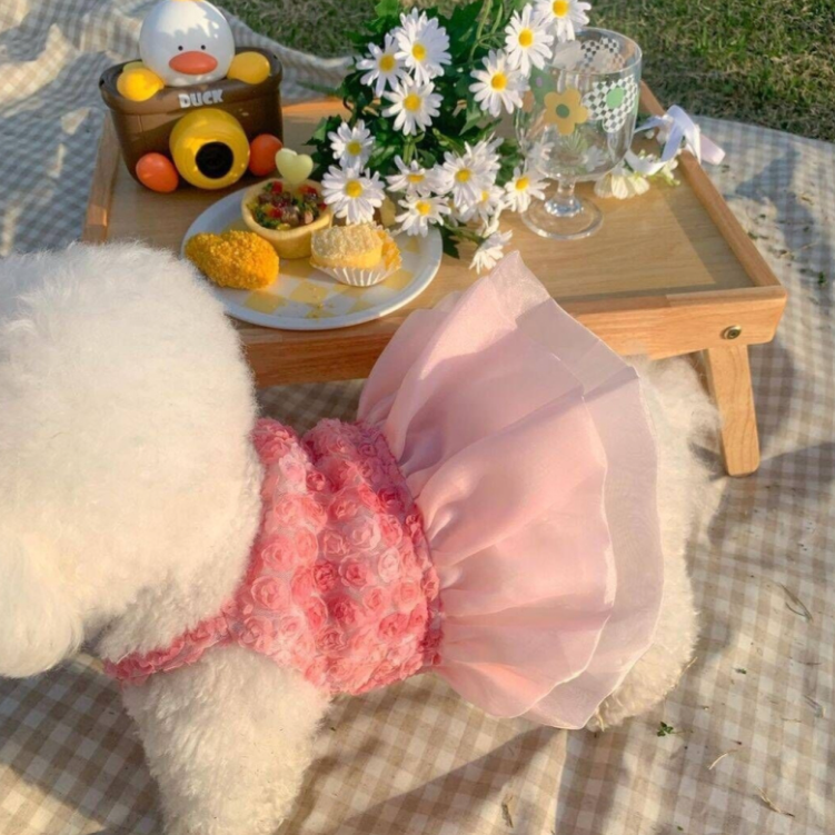Fashion Pet Dress