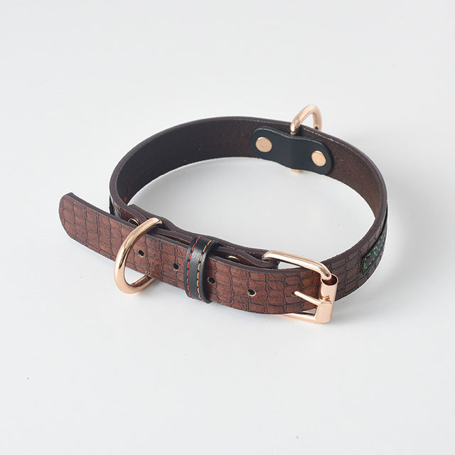 Labrador Gold Leather Dog Collar for Medium and Large Breeds