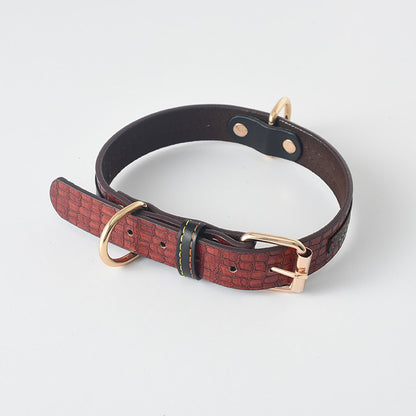 Labrador Gold Leather Dog Collar for Medium and Large Breeds