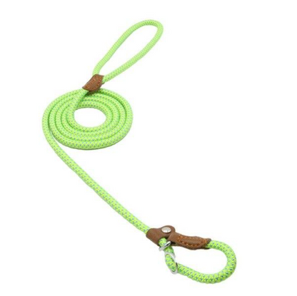 Nylon Pup Lead Set