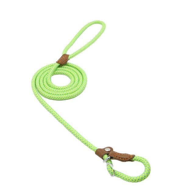 Nylon Pup Lead Set