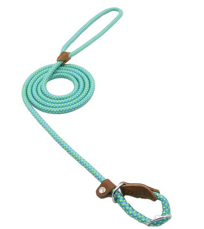 Nylon Pup Lead Set