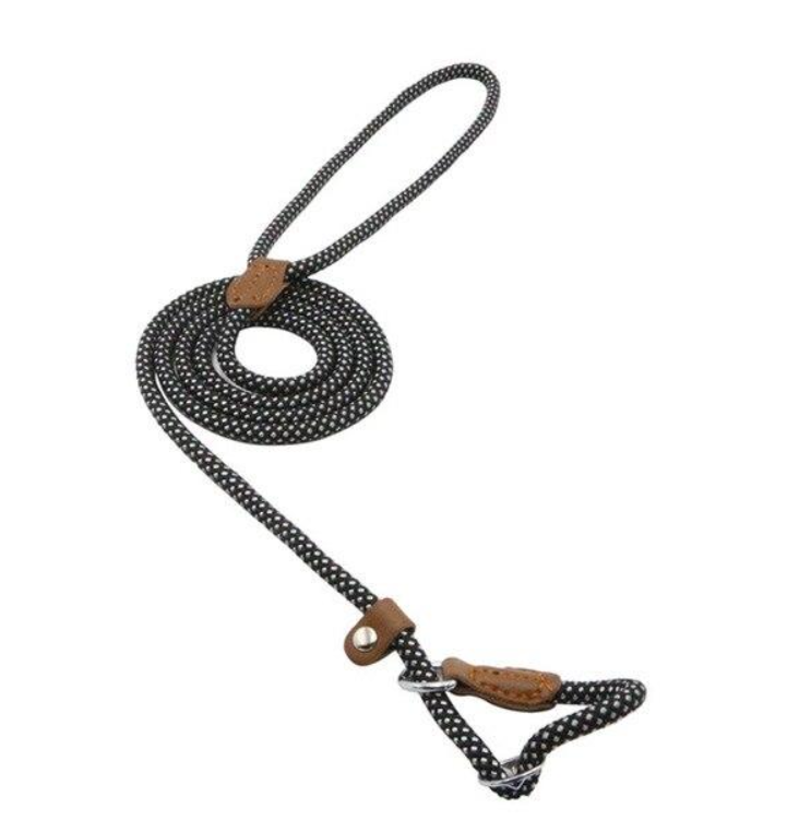 Nylon Pup Lead Set