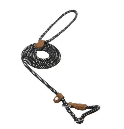 Nylon Pup Lead Set