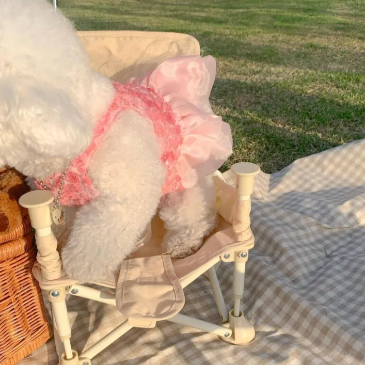 Fashion Pet Dress