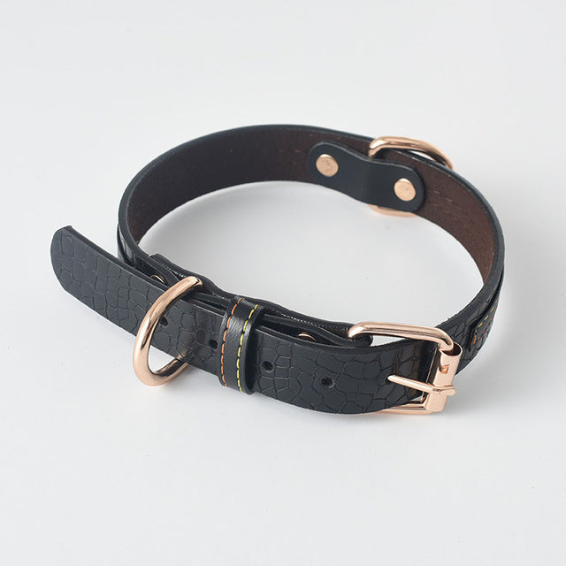 Labrador Gold Leather Dog Collar for Medium and Large Breeds