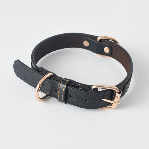 Labrador Gold Leather Dog Collar for Medium and Large Breeds