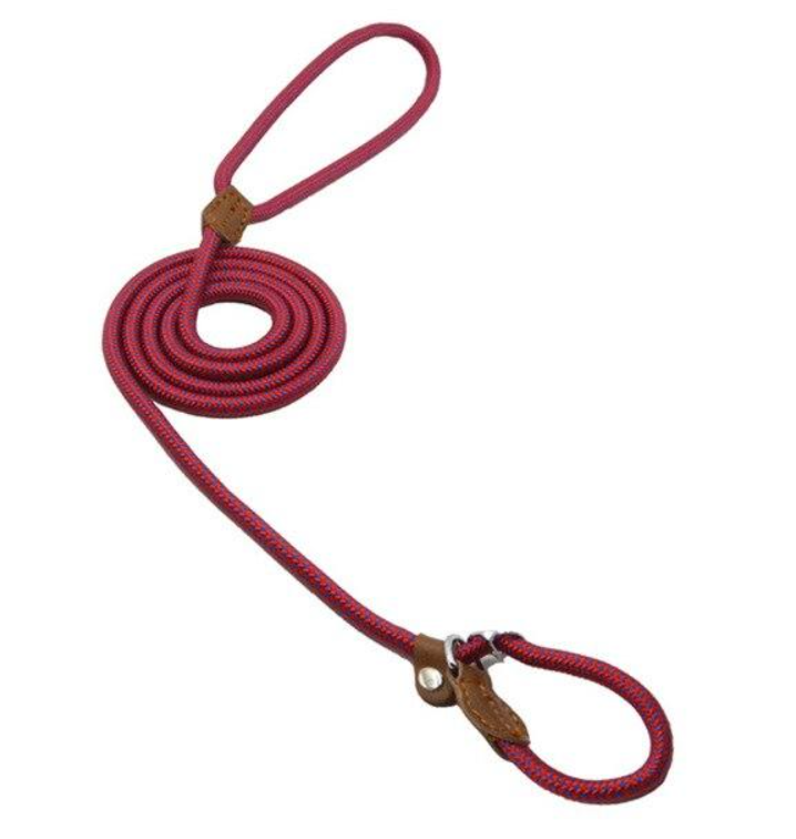 Nylon Pup Lead Set