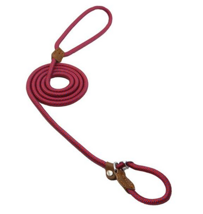 Nylon Pup Lead Set