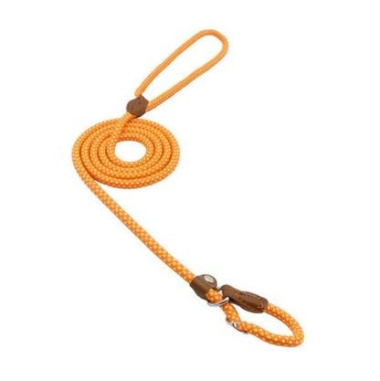 Nylon Pup Lead Set