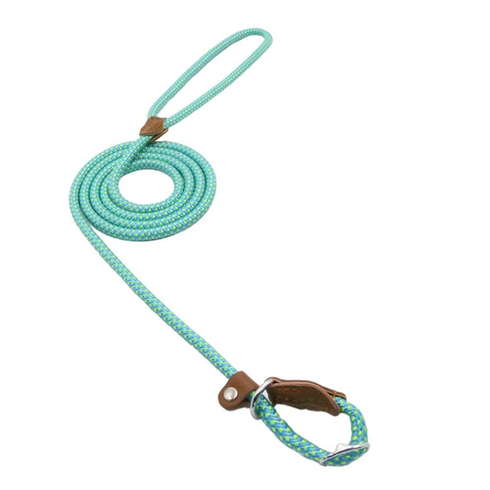 Nylon Pup Lead Set