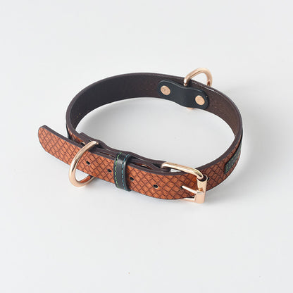 Labrador Gold Leather Dog Collar for Medium and Large Breeds